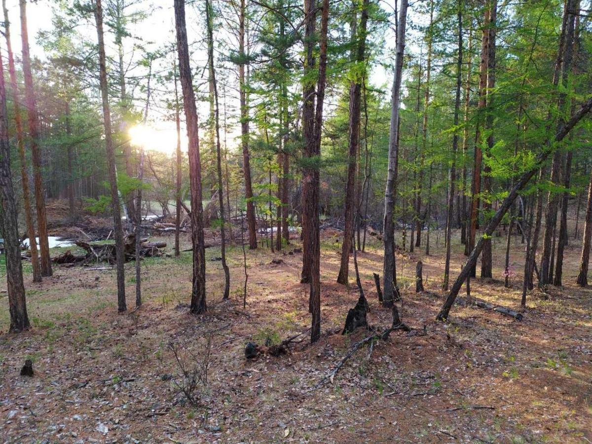 Kemping Cvetok Pod Snegom Khuzhir Dış mekan fotoğraf